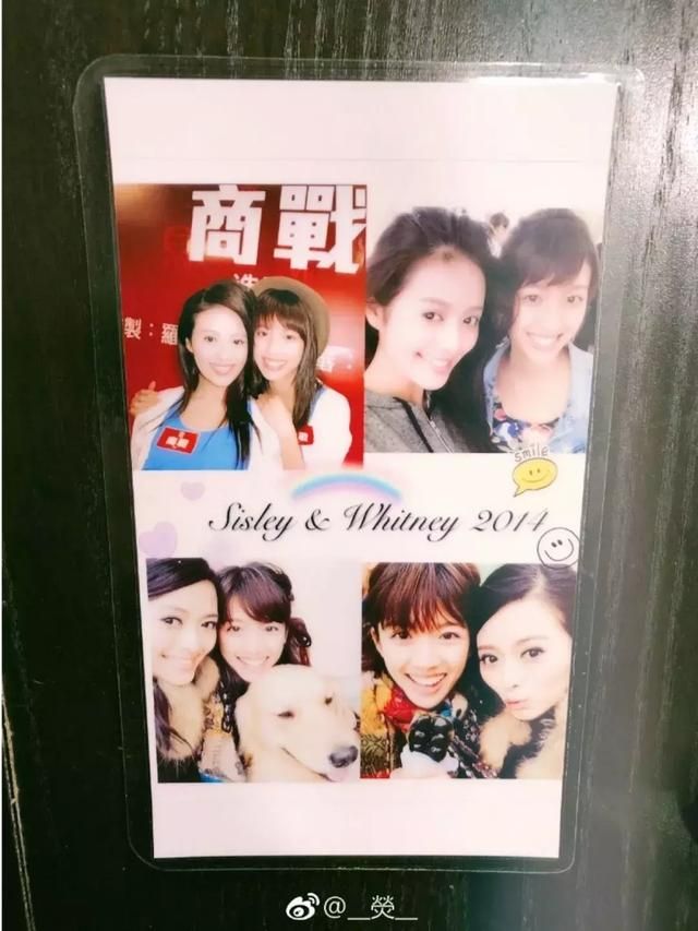 喜爱夜蒲在哪里看得到的简单介绍
