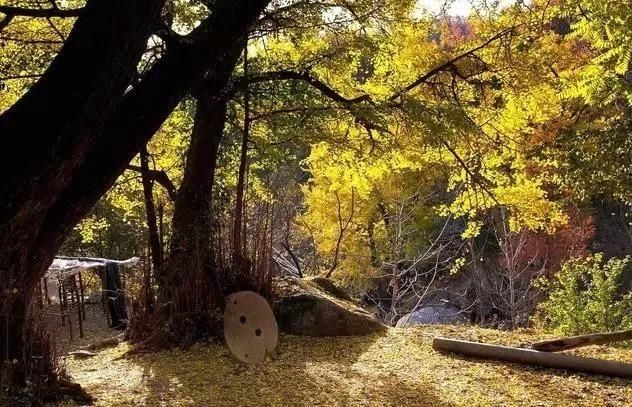 郑州东区红灯区在哪里的简单介绍