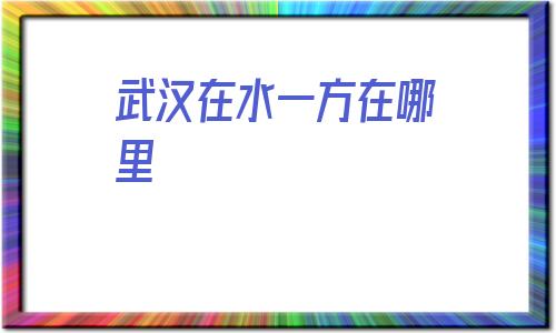 武汉在水一方在哪里(武汉水之梦998什么服务)