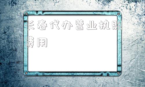 长春代办营业执照费用(营业执照年检代办费用)