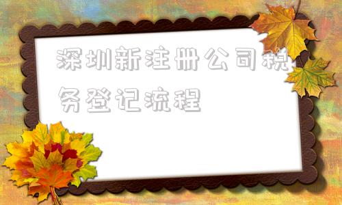 深圳新注册公司税务登记流程(新注册公司税务登记流程及所需材料)