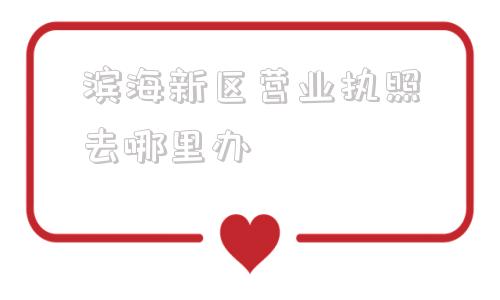 滨海新区营业执照去哪里办(经开区办营业执照去哪里办)