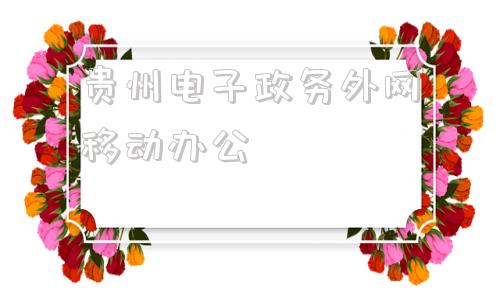 贵州电子政务外网移动办公(贵州省电子政务外网移动办公接入平台)