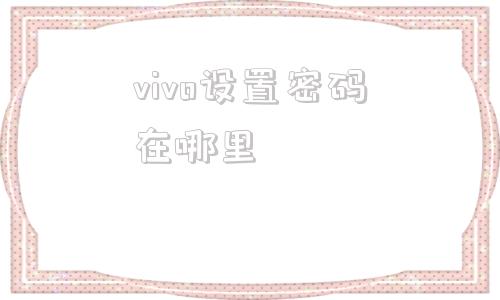 vivo设置密码在哪里(vivo设置usb调试模式)