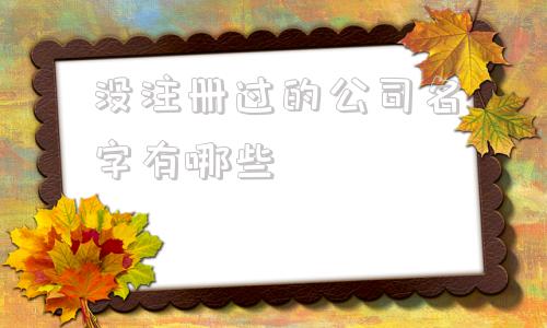 没注册过的公司名字有哪些(没有被注册过的公司名字)