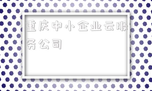 重庆中小企业云服务公司(重庆中小企业款项支付投诉热线)