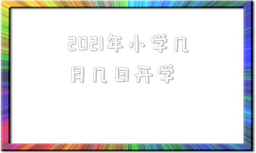 2021年小学几月几日开学(2021年小学教导处教学工作总结)